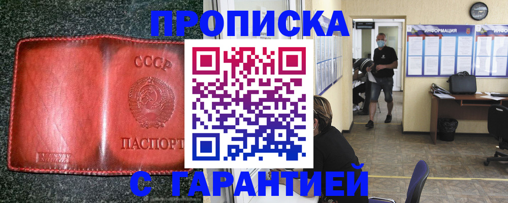 прописка гарантия в Никольском